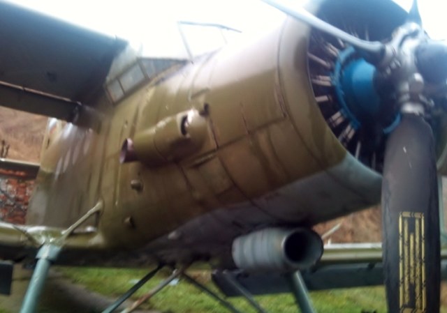 DSC_0833 (800x600).jpg